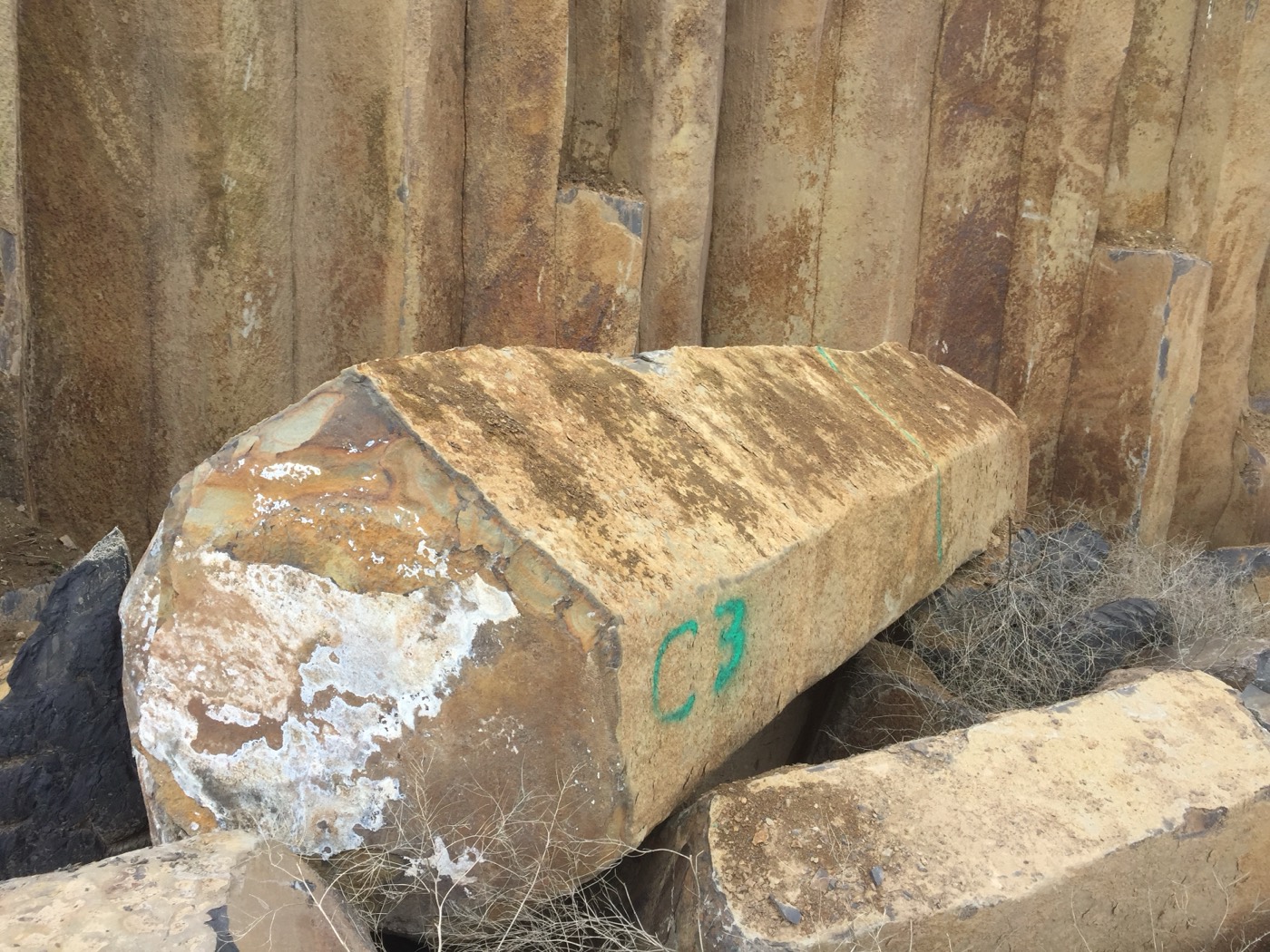Large-diameter basalt column at the quarry